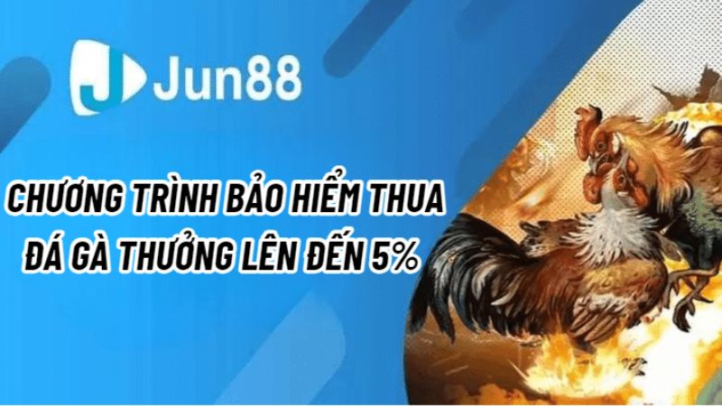 Điểm danh các sự kiện đá gà thưởng mỗi ngày cùng Jun88