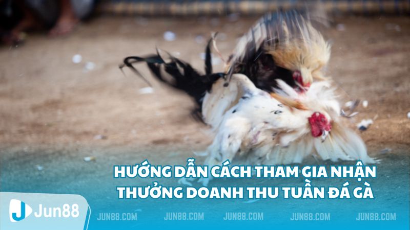 Hướng dẫn cách  tham gia nhận thưởng doanh thu tuần đá gà